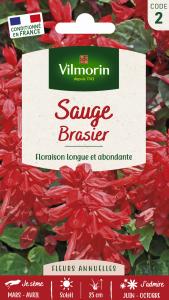 Sauge Brasier